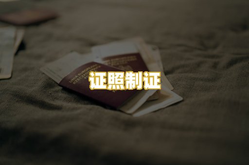 证照制证