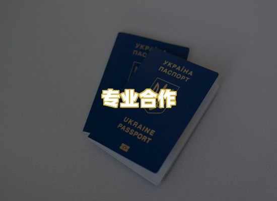 专业合作